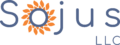 Sojus LLC